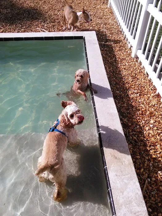 Hagan's Pet Resort 12
