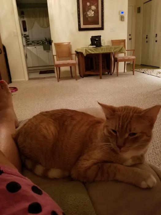 Suncoast Animal Clinic 12