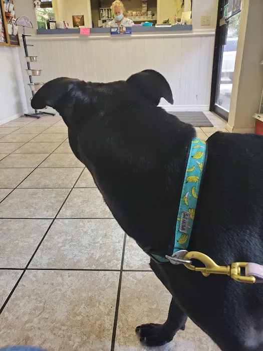 Suncoast Animal Clinic 12