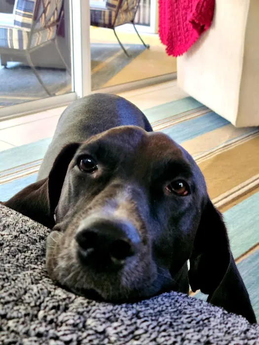 Suncoast Animal Clinic 12