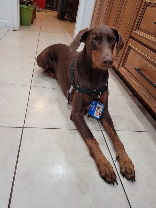 Suncoast Animal Clinic 12