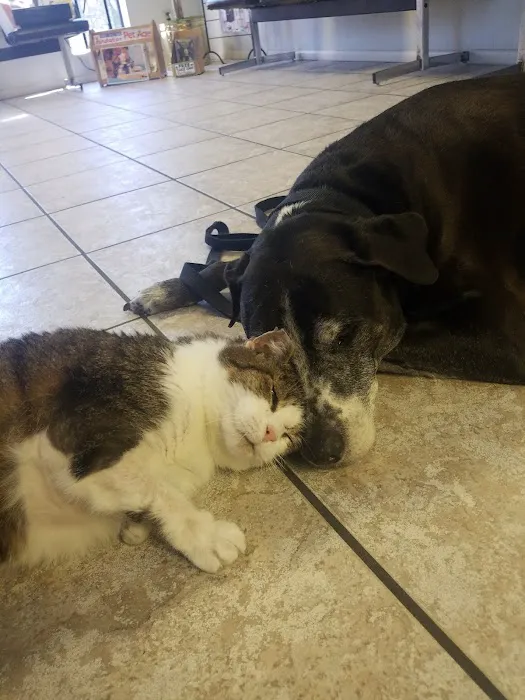 Suncoast Animal Clinic 12