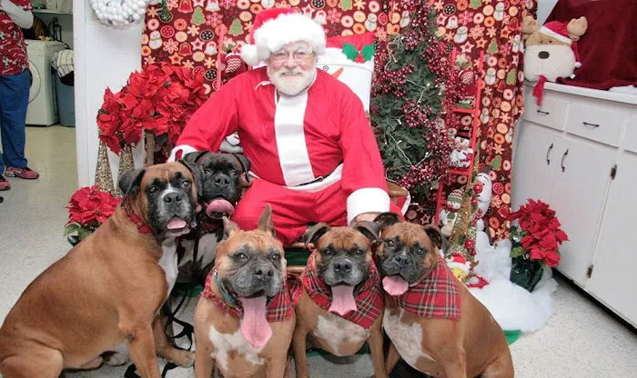 Bayshore Animal Hospital 9