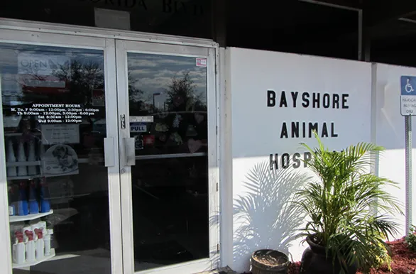 Bayshore Animal Hospital 2