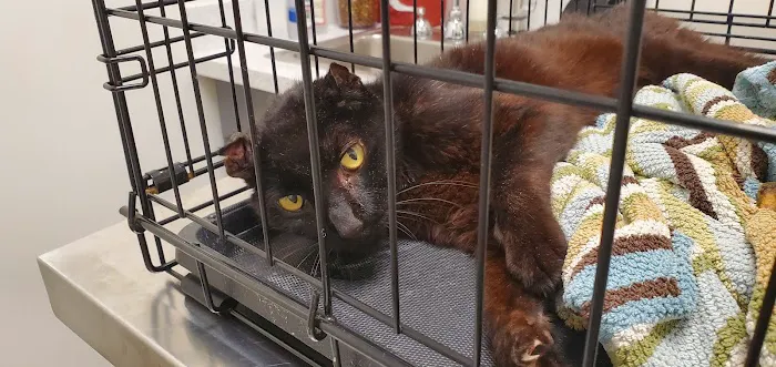 Bayshore Animal Hospital 4