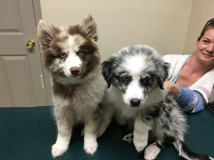 Safe Harbor Animal Clinic 6