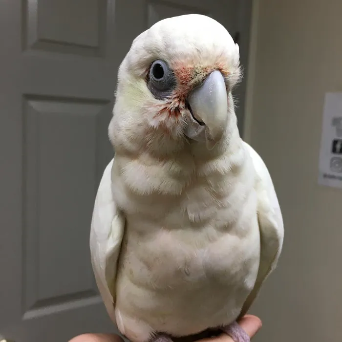 Safe Harbor Animal Clinic 5