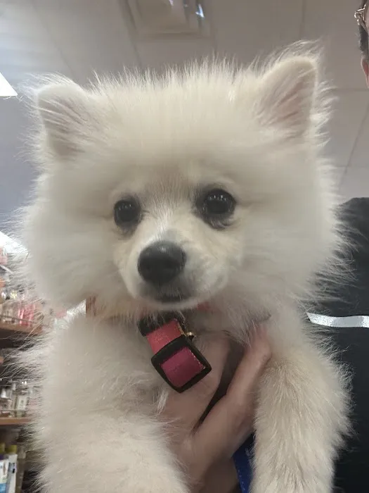 Banfield Pet Hospital 12
