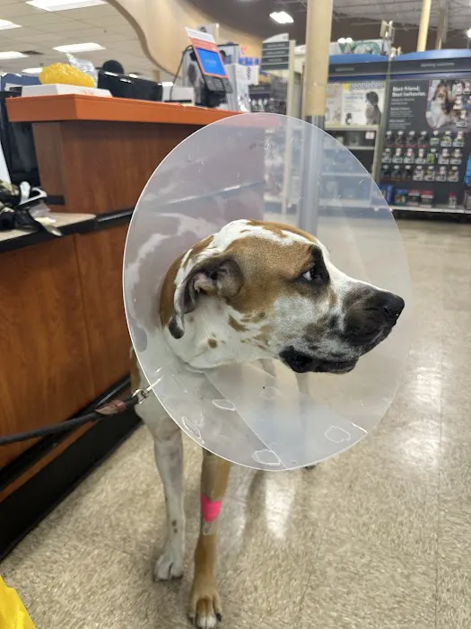 Banfield Pet Hospital 12