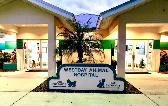 Westbay Animal Hospital 1