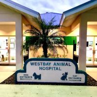 Westbay Animal Hospital ico