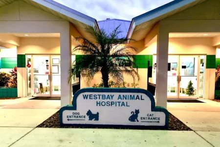 Westbay Animal Hospital