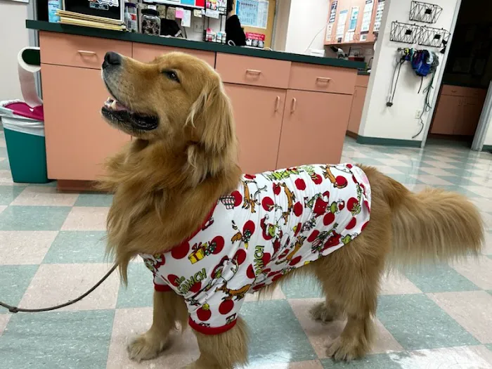 Westbay Animal Hospital 5