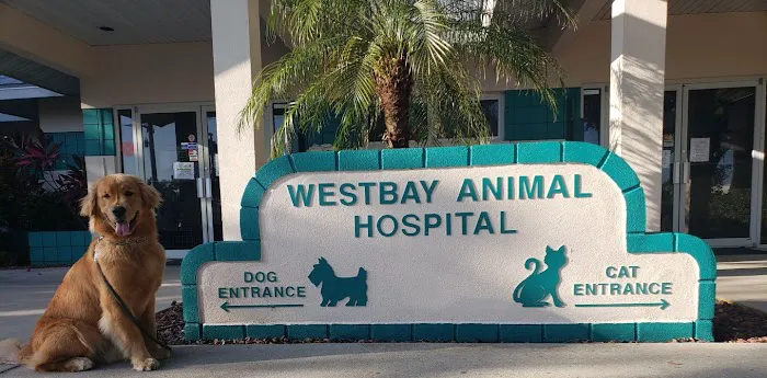 Westbay Animal Hospital 6