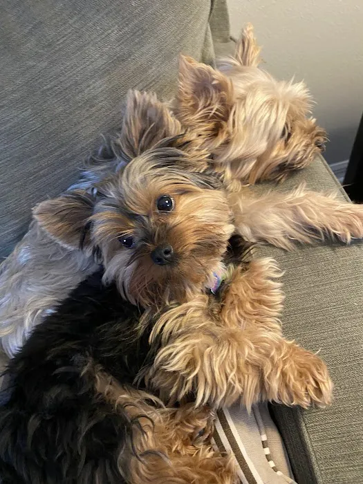 Bayshore Animal Hospital: Weber H M DVM 12