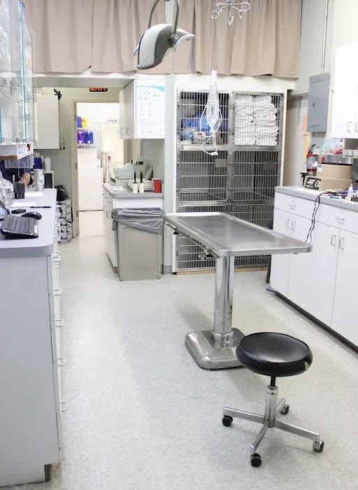 Island Animal Clinic 1