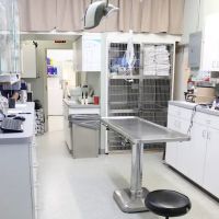 Island Animal Clinic ico