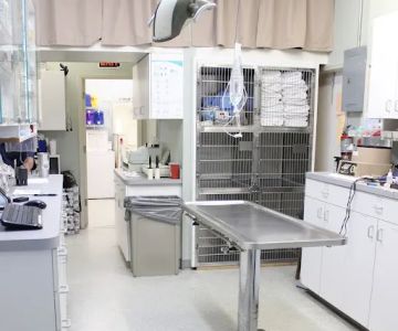 Island Animal Clinic