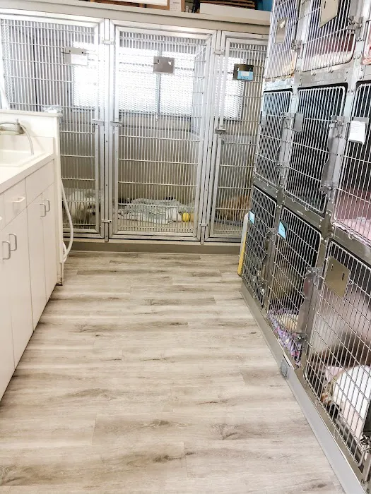 Island Animal Clinic 5