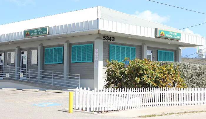 Island Animal Clinic 4