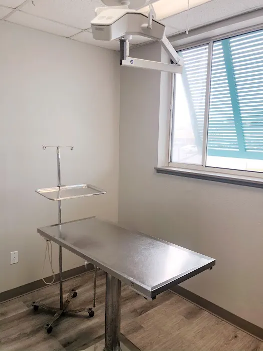 Island Animal Clinic 10