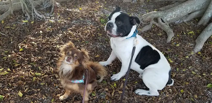 Palm Aire Animal Medical Center 12