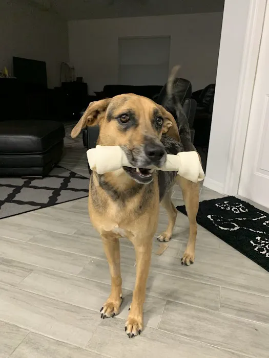 Palm Aire Animal Medical Center 12