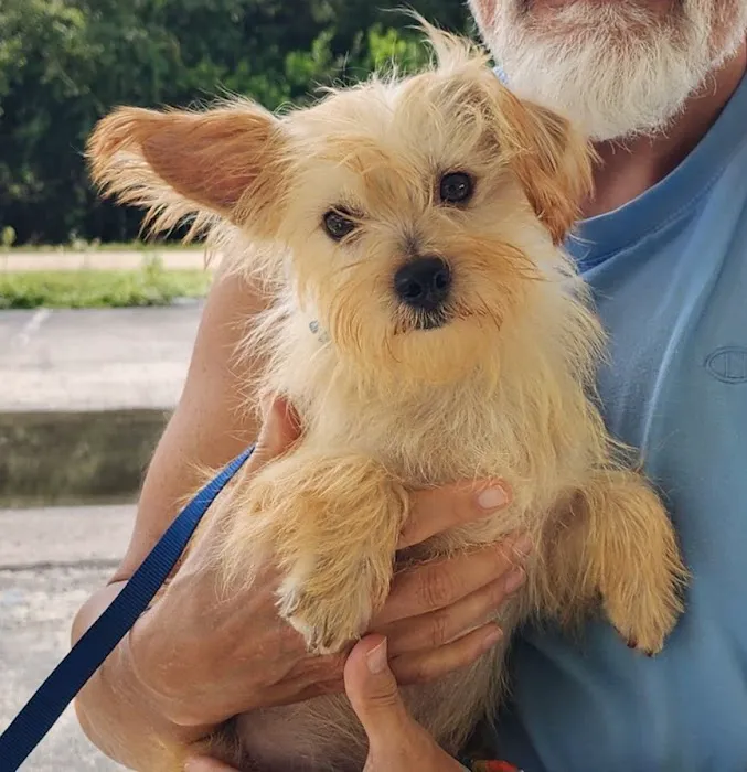 Palm Aire Animal Medical Center 12
