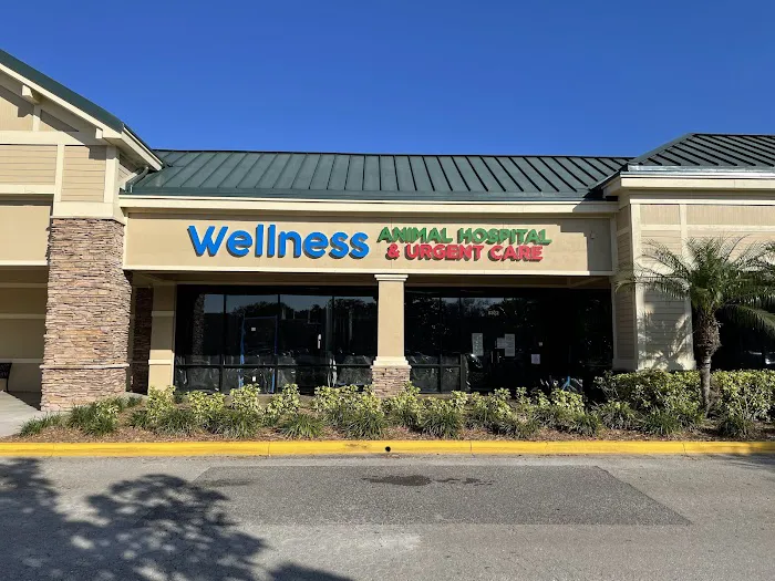 Wellness Animal Hospital - Bradenton 12