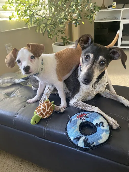 Wellness Animal Hospital - Bradenton 12