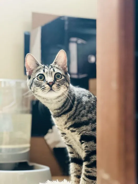 Wellness Animal Hospital - Bradenton 12