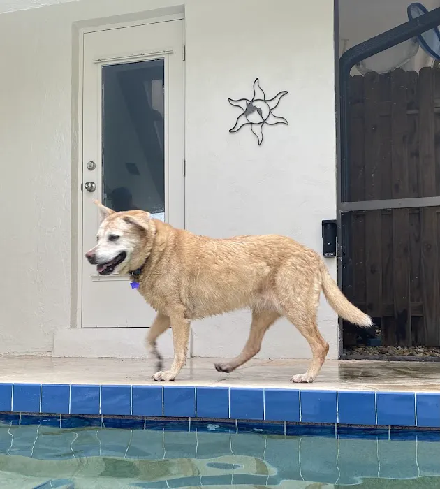 Wellness Animal Hospital - Bradenton 12
