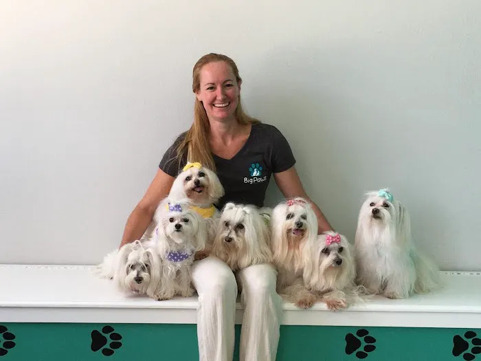 Big Paws Animal Hospital 3