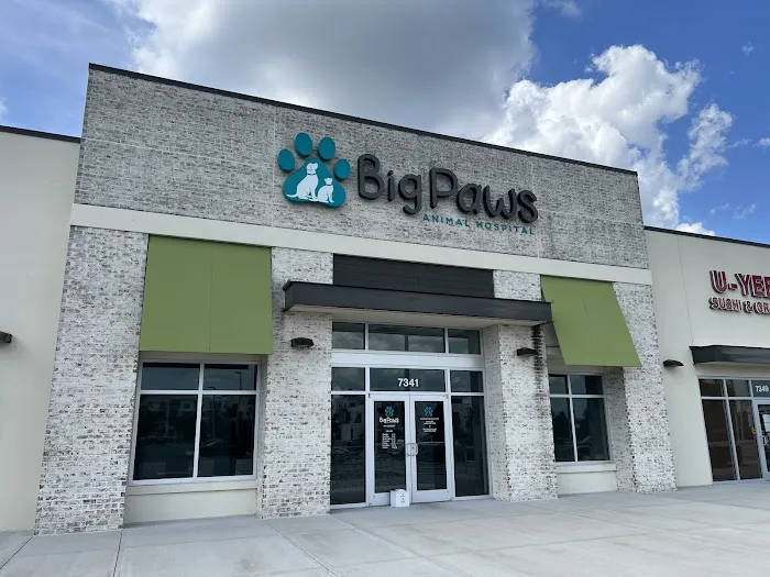 Big Paws Animal Hospital 5