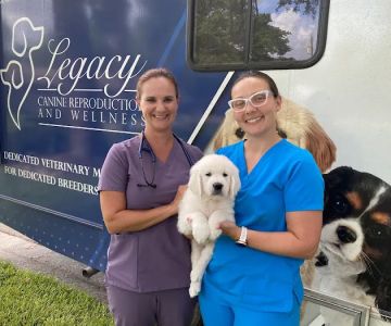 Legacy Canine Reproduction and Wellness