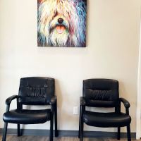 Bay Road Animal Hospital ico