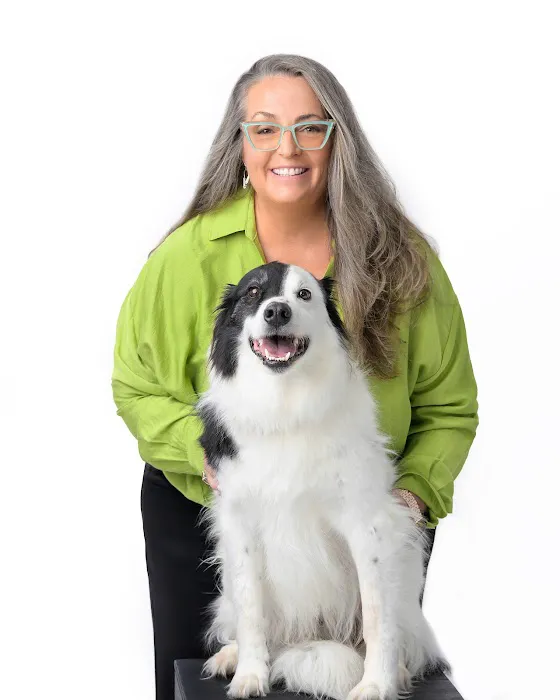 Partners Animal Hospital Fruitville 12