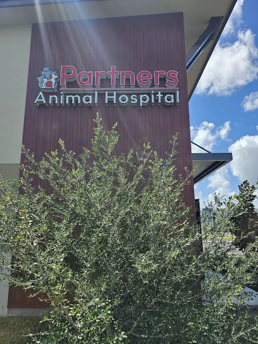 Partners Animal Hospital Fruitville 12