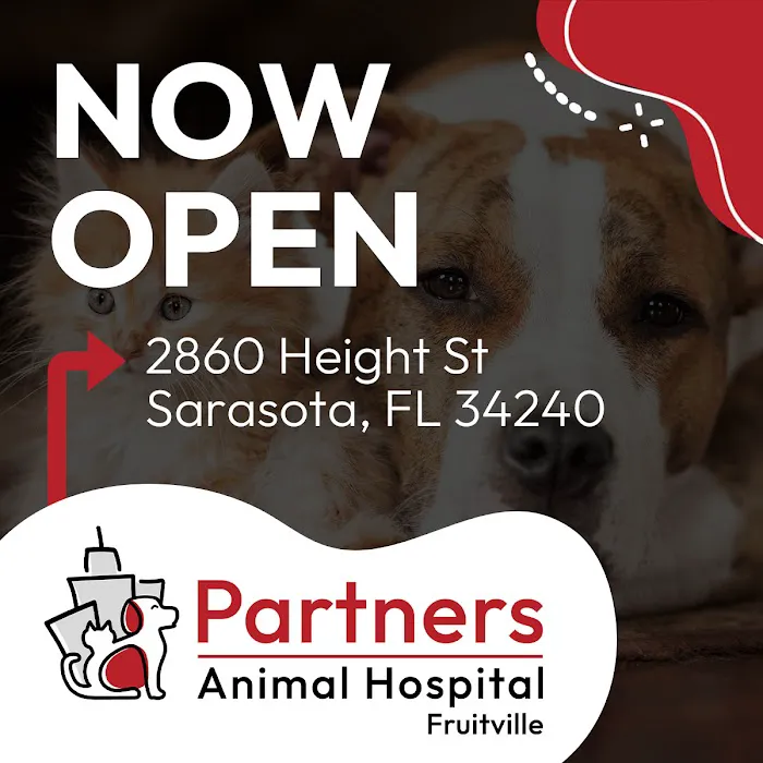 Partners Animal Hospital Fruitville 12