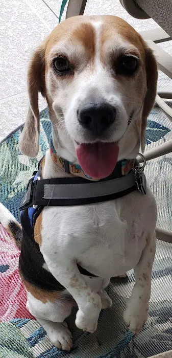 Banfield Pet Hospital 12