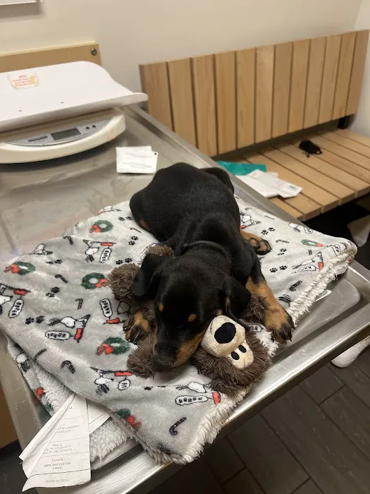 Banfield Pet Hospital 12