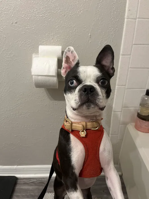 Banfield Pet Hospital 12