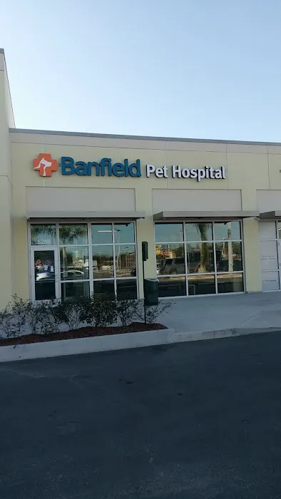 Banfield Pet Hospital 12