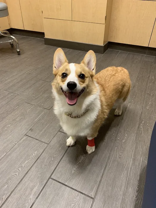 Banfield Pet Hospital 12