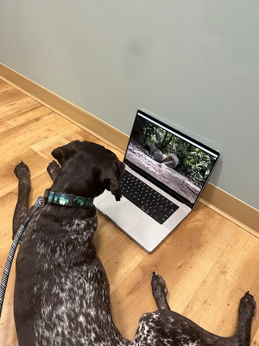 Animal Dermatology Clinic 12