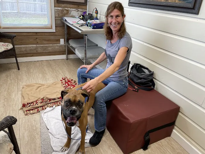 Sarasota Animal Medical Center 12