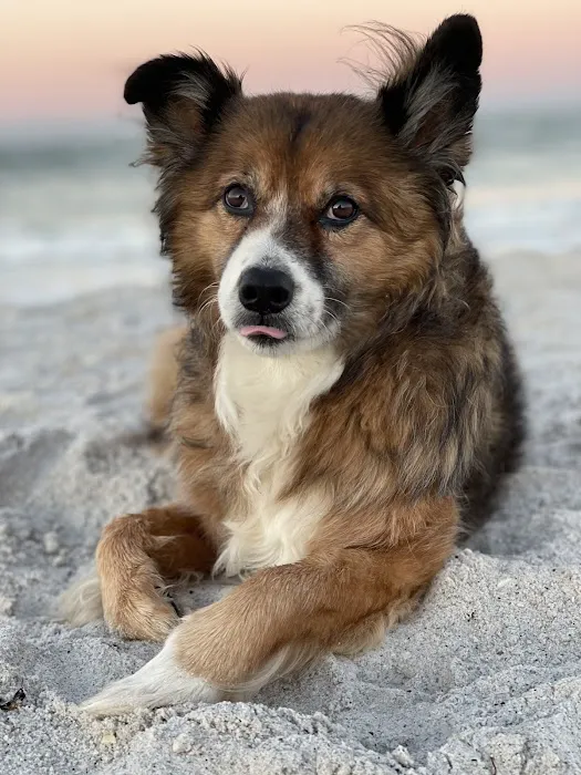 West Coast Veterinary Center 12