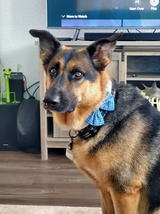 West Coast Veterinary Center 12