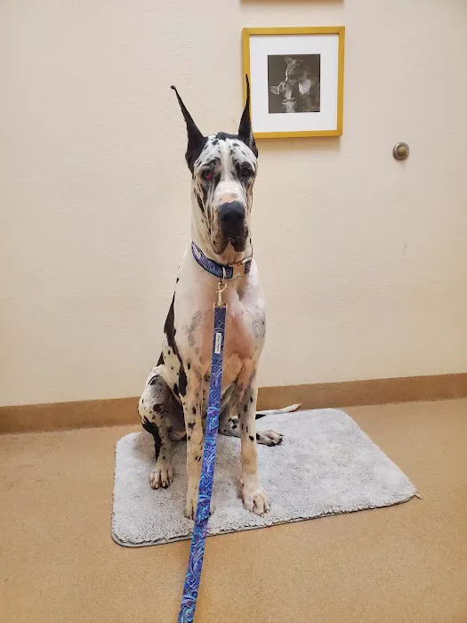 West Coast Veterinary Center 12