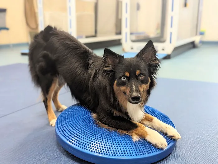 West Coast Veterinary Center 12
